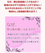 なぜ男は風俗嬢にハマるのか？ 定価：¥19,800