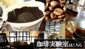 コーヒーソムリエ動画で学べる珈琲講座