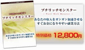 週末副業で300万円！あなたの収入をガンガン加速させるすぐお金になりやすい副業方法「プチリッチモンスター」 定価：16300