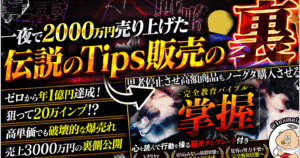 一夜で2000万円売り上げた伝説のTips販売の裏　なまいきくん