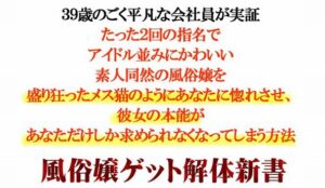 風俗嬢ゲット解体新書 高木勇太朗
