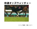 枠連オッズウォッチャー【売上三冠達成！】 定価：¥4,800
