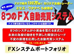 FXシステムポートフォリオ 定価：¥76,600