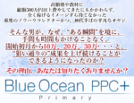 ブルーオーシャンPPCプラスプライマリー