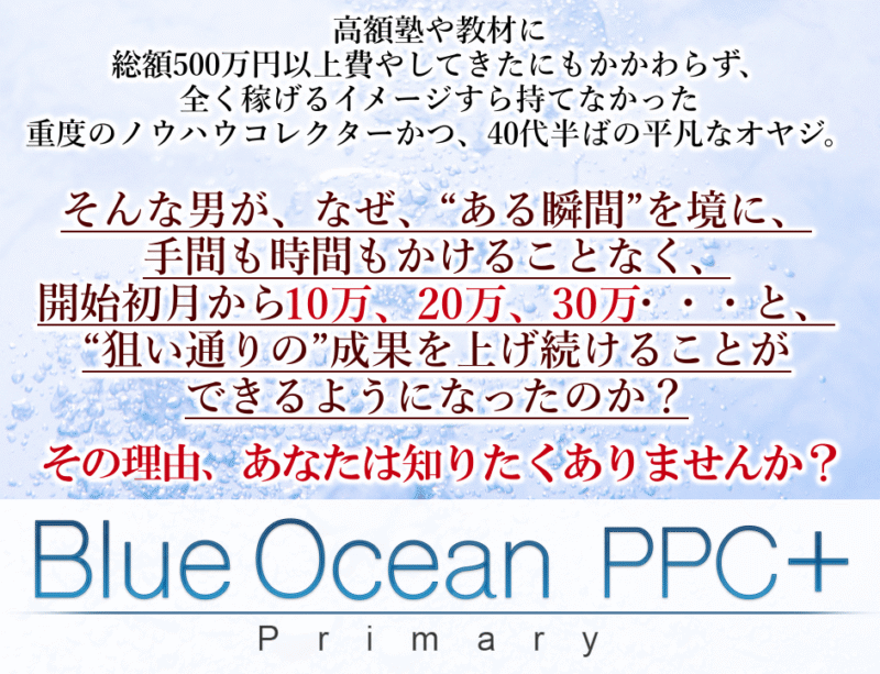 ブルーオーシャンPPCプラスプライマリー