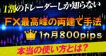 勉強が苦手な人、時間がない人のためのFXで不労所得を実現する方法　諸葛亮孔明
