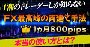勉強が苦手な人、時間がない人のためのFXで不労所得を実現する方法　諸葛亮孔明