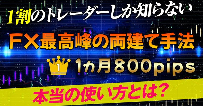 勉強が苦手な人、時間がない人のためのFXで不労所得を実現する方法　諸葛亮孔明