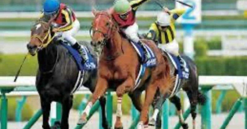 ３連単３点的中で回収率700～1300％！最強競馬予想マニュアル