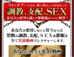 禁断の調教・支配・SEX系催眠 パーフェクト催眠術 定価：¥197,000