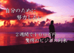 2週間で100万円稼ぐ方法 定価：¥5,000