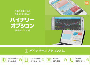 GMOクリック証券バイナリーオプション「半」攻略法 定価：¥5,000