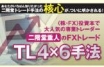 二階堂重人の「FXトレード TL4x6手法」 （） 定価：¥46,800