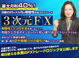 3次元FX 定価：¥29,800