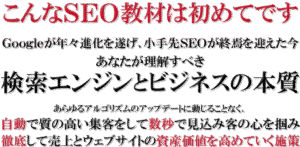本質のビジネスSEO術  成約率向上・売上向上・アクセス向上総合マニュアル教材