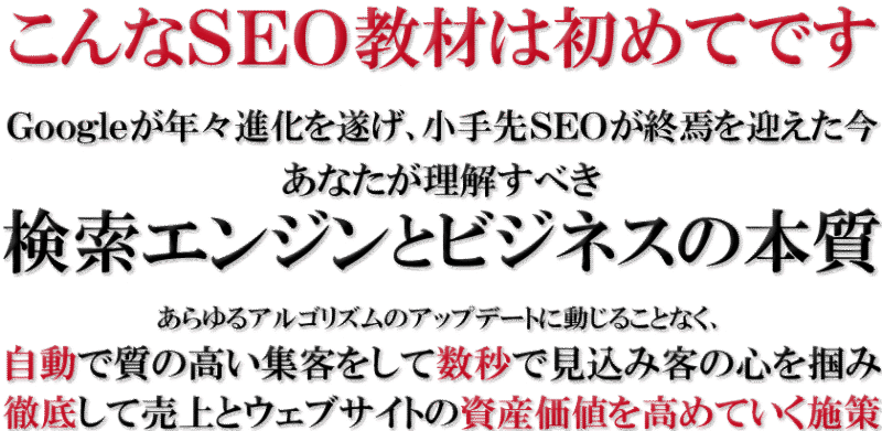 本質のビジネスSEO術  成約率向上・売上向上・アクセス向上総合マニュアル教材