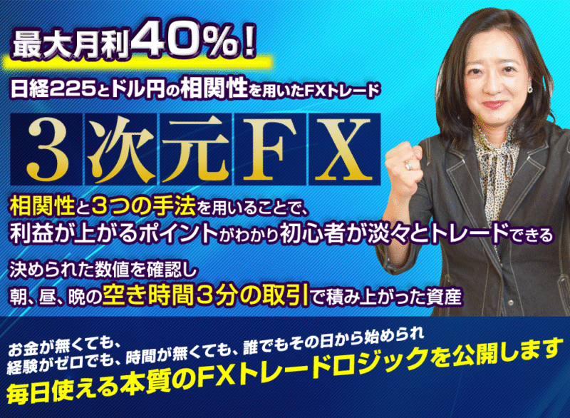 3次元FX 定価：¥29,800