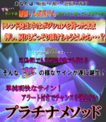 プラチナメソッド 定価：¥98,000