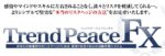 トレンドピースFX 定価：¥11,800