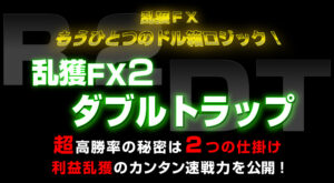 乱獲FX2 ダブルトラップ FX-Jin