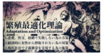 【女人禁制】恋愛・結婚で搾取されない為の繁殖最適化理論【100部購読】 MiniDra