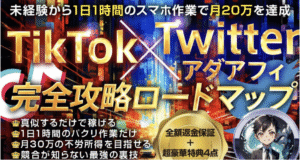 【220部完売！】TikTok✕Twitterアダアフィ完全攻略【最終49800円】　アオヤマ@アダアフィ教材ランキング1位