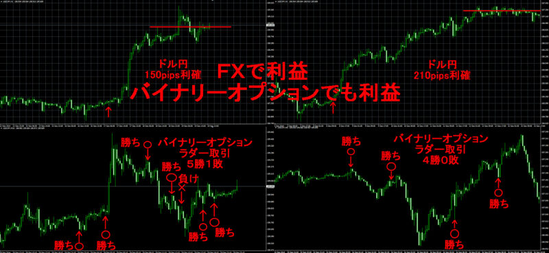 ヒゲ足を使って反転とトレンドを狙う手法 雨宮