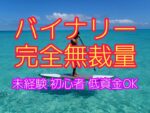 無裁量！！SKYのバイナリー手法を教えます 初心者OK！投資するのに自分の考えが必要ない？