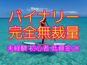 無裁量！！SKYのバイナリー手法を教えます 初心者OK！投資するのに自分の考えが必要ない？