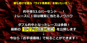 馬券的中マニュアル「女神」のワイド理論 +（特典）「悪魔」の三連複理論