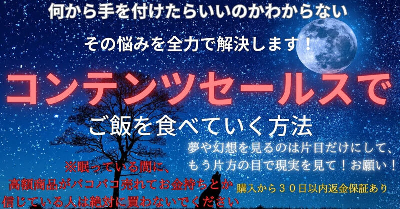 コンテンツセールスでご飯を食べていく方法 背水のじん