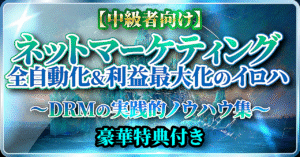 【中級者向け】 ネットマーケティング 全自動化&利益最大化のイロハ 〜DRMの実践的ノウハウ集〜 豪華特典付き アオくん