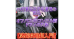 市丸×ドフィ　【裏垢攻略超入門】 市丸