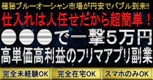 【円安バブル】スキマ時間で月30万円を稼ぐ完全在宅スマホ物販　副業ブログマスター『オメガ』