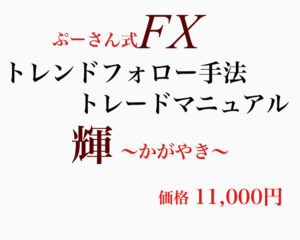 FXぷーさん式トレンドフォロー手法『輝』(2025年版)