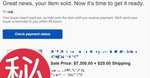 【ヤバい仕入先】利益$1,000以上の１点モノを効率よく国内市場から釣って、eBayで即売り捌く方法【eBay無在庫輸出転売 リサーチ＆稼ぎ方】　さこ