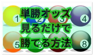 投資競馬必勝法 単勝オッズと購入金額をチェックするだけでOK　まをう