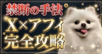 【禁断の手法】Xアフィ完全攻略　蒼